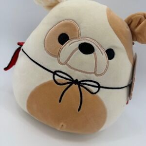 Squishmallows‎ Brock Bulldog Vampire Halloween Plush Toy 9 Inch